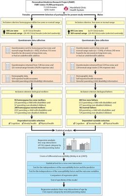 FMR1 Low Zone CGG Repeats: Phenotypic Associations in the Context of Parenting Stress